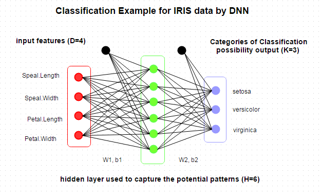 iris_network